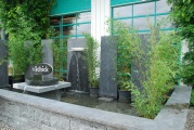 DSC_5591 - Kopie.JPG